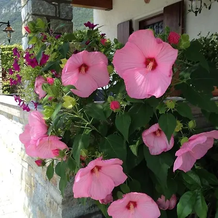 Casa Serena - Lake View With Garden - Lake Como *