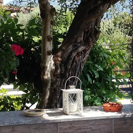 Apartment Casa Serena - Lake View With Garden - Lake Como Tremezzo
