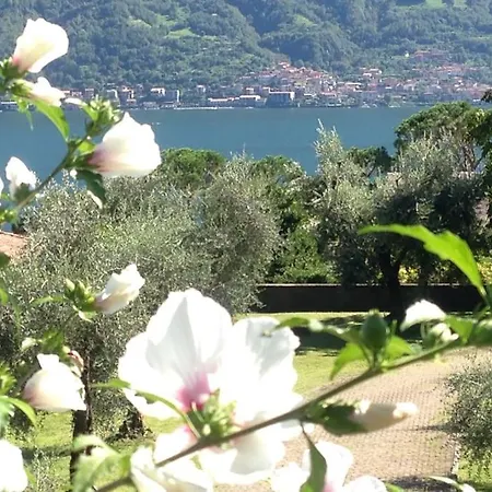 Apartment Casa Serena - Lake View With Garden - Lake Como