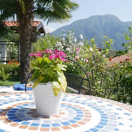 Apartment Casa Serena - Lake View With Garden - Lake Como *